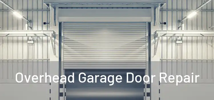  Overhead Garage Door Repair 